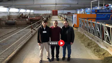 Çorum’da İki Kardeş El Ele Verdi, Çiftlik Kurdu