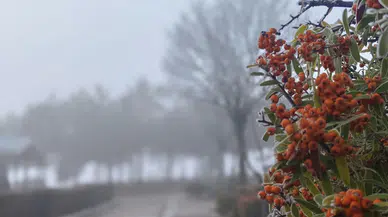 Sungurlu’da Soğuk Hava Etkili Oluyor