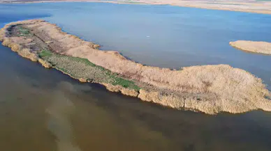 Adana’nın Gizli Cenneti Nergis Adası, Yok Olma Tehlikesiyle Karşı Karşıya