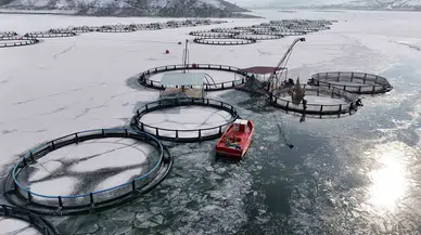 Antarktika Değil Erzincan; Belgeselleri Aratmayan İmajlarla Buz Tutan Gölde Balıkçılık Serüveni