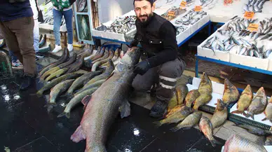 Batman’da Dev Turna Balığı Tezgahta Sergilendi