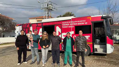 “Can Dost” Şifa Dağıtmaya Devam Ediyor: Paşa Limanı Adası’nda 182 Sokak Hayvanı Hayata Tutundu