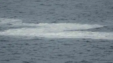 Çanakkale Boğazı’nda Müsilaj Devam Ediyor