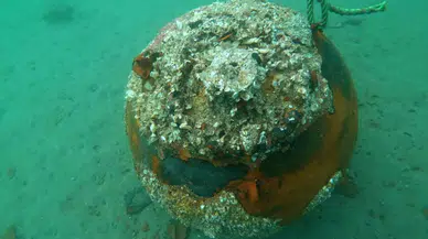 Çanakkale Savaşları’ndan Kalma Mayın Denizde İmha Edildi