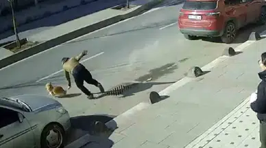 Elinden Kaçan Köpeğini Yakalamak İsterken Az Kalsın Aracın Altında Kalıyordu