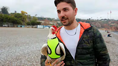 Falezlerden Düşen Tavuğu Denizden Kurtarıp Sahiplendi, Artık Yanından Ayrılmıyor