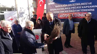 Gercüş’te Çiftçilere Amerikan Asma Fidesi Dağıtıldı