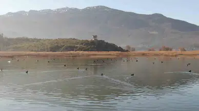 Göller Yöresi’ndeki Su Kuşu Sayımları Ekosistem Değişimlerini Aydınlatıyor