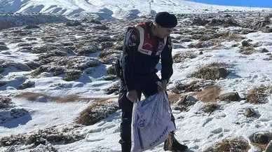 Jandarma Takımları Yaban ve Sokak Hayvanları İçin Dağlarda