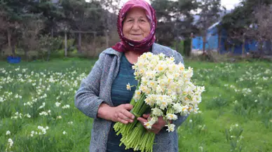 Karaburun’u Nergis Kokusu Sardı