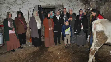 Kars’ta Bayanlar Sağlıklı Sağım Tekniklerini Öğreniyor