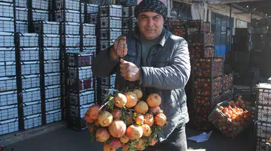 Kendine Has Lezzetiyle Bilinen "Zivzik" Narı Kilosu 30 Liradan Satılıyor