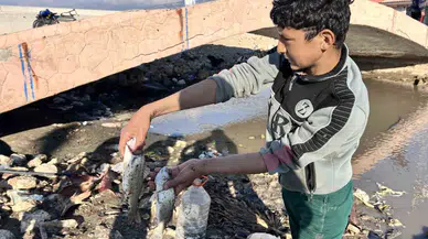 Konuttan Getirdikleri Perdeyle Kanalda Balık Yakaladılar