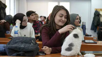 ‘Labne’ Fakültede Öğrencilerle Derslere Giriyor