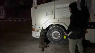 Montundan Kokain Çıktı, "Komşumun" Dedi