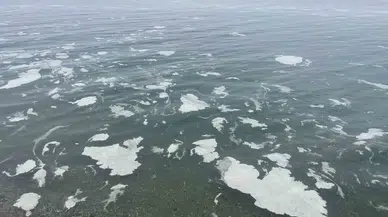 Mudanya’yı Müsilaj Sardı, Deniz Beyaz Katmanla Örtüldü