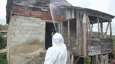 Ordu’da Kahverengi Kokarcaya Karşı 200 Bin Nokta İlaçlandı