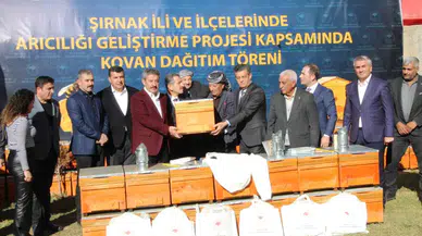 Şırnak’ta Yılda 710 Ton Bal Üretilecek