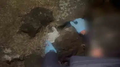 Taşın Altından Bin 67 Adet Uyuşturucu Hap Çıktı