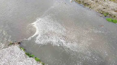 Taşova’da Yeşilırmak Kirlilikten Köpürdü