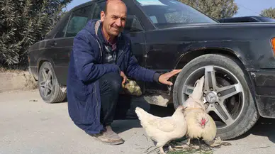 Tekere Bağladığı Horozuyla, Tavuğunu Otomobiliyle Birlikte Satışa Çıkardı