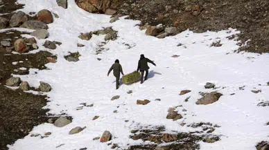 Uzmanlar Uyardı: "Yaban Hayvanlarına Bilinçsiz Yem Bırakmayın"