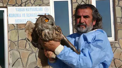 Van’da 2024 Yılında 500 Yaban Hayvanı Tedavi Edildi