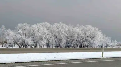 Van’da Kırağı ve Sis Kartpostallık Manzaralar Oluşturdu