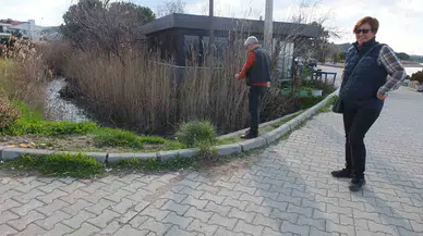 Yılların Problemine Baski Neşter Vurdu