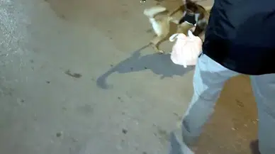 Zehir Taciri Eta’dan Kaçamadı