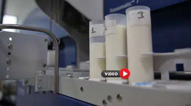 Çorum’da Süt Üretimi TKDK Destekleriyle Artırıyor