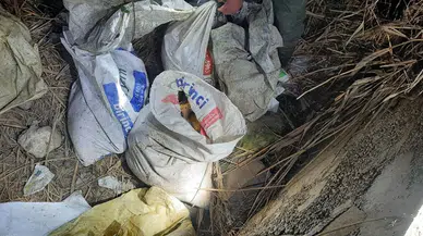Irmakta Kaçak Balık Avlayanlara Baskın