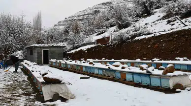 Arıcıların Kış Mesaisi Sürüyor