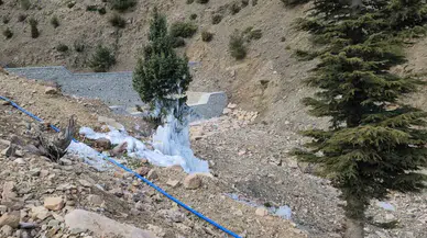 Borudan Sızan Suyla Çam Ağacı Buzdan Ağaca Döndü