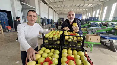 Elma Fiyatını Maliyetler Yükseltiyor