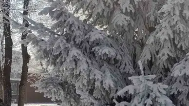 Göle’de Hava Eksi 27,7 Derece: Araçlar Soğuktan Çalışmadı