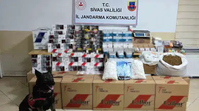 Jandarma’dan Kanunsuzluğa Operasyon
