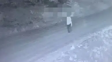 Jandarmanın Fotokapanı Organize Kabahat Örgütünü Bu türlü Kaptı