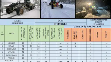 Kar Sonrası Kapanan 179 Köy Yolundan 122’si Ulaşıma Açıldı