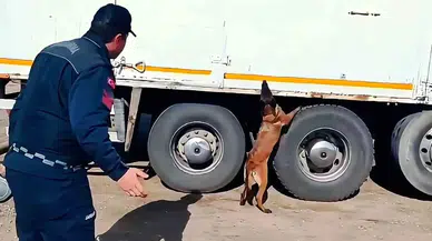 Kargo Aracında 1 Tonun Üzerinde Kaçak Tütün ve Yüzlerce Paket Sigara Ele Geçirildi