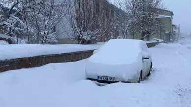 Karlıova’da Kar Hayatı Olumsuz Etkiledi, 47 Köy Yolu Ulaşıma Kapandı