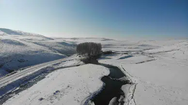 Kars Çayı’nda Mest Edici Kış Görünümü