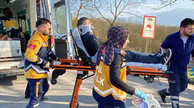 Kaza Yapan Aracın Modülleri Ağaçta Asılı Kaldı: 1’i Bebek 4 Yaralı