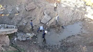 Şanlıurfa’da Çamur Bataklığında Mahsur Kalan 240 Kaplumbağa Kurtarıldı
