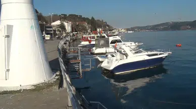 Sarıyer’de Binlerce Denizanası Kıyıya Vurdu