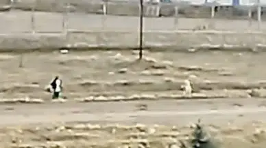 Sokak Köpeklerinin Saldırısına Uğrayan Çocuk, Çuval Modülü ile Kurtuldu