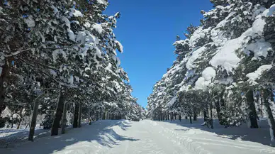 Tatvan’da Çatılarda 2 Metrelik Buz Sarkıtları Oluştu