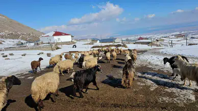 Türkiye’nin En Yüksek Rakımlı Köyü Kışkılı, Dron İmgeleriyle Hayran Bıraktı