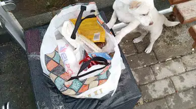 Yavru Köpek Soğukta "Sahiplenin" Notuyla Durağa Bırakıldı