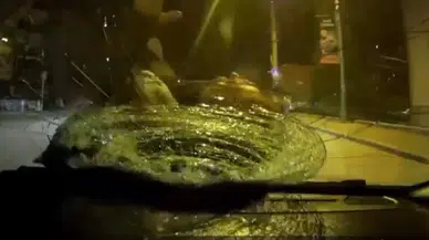 Yolu Karşısına Geçmeye Çalışan Adama Ticari Taksi Bu türlü Çarptı